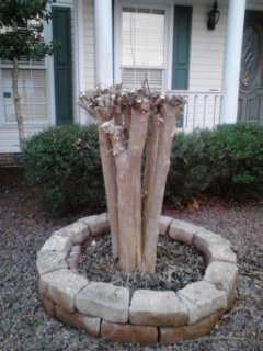 BD03pzdCYAEh1FB.jpg large