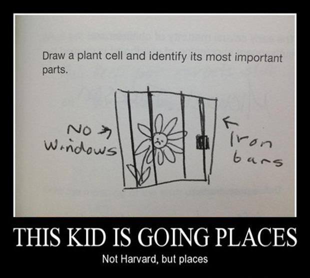 942429_392740017492814_934422239_n